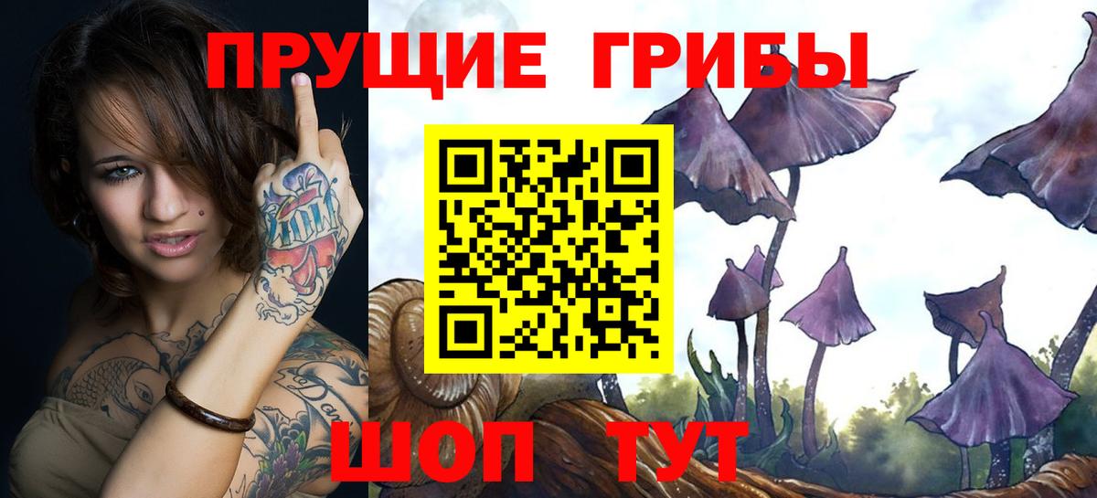 Мариинск  Псилоцибиновые грибы GOLDEN TEACHER  купить наркотик  Галлюциногенные грибы прущие грибы  Вход с VPN 